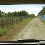 とうふの比嘉 - ナビと幟がなければ、不安な周辺景観