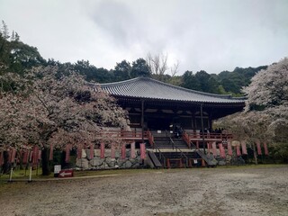 Gozan Ryouri Ugetsu Chaya - 西国三十三所 第十一番 醍醐寺:観音堂♪