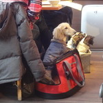 らるきい - サンルーム席はペットも可