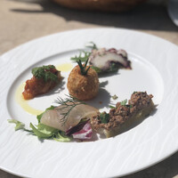 レオーネ・マルチアーノ - 