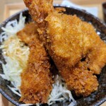 Niigata Katsudon Tare Katsu - 