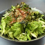 韓の舌 - チョレギサラダ