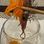 ビストロ セレニテ - 