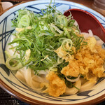 Marugame Seimen - とろろ醤油　並　420円