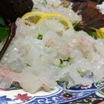 いせえび料理 中平 - 刺し身