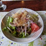 萩の亭 - ランチメニュー C コリコリハンバーグのサラダ