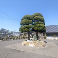 Remede nikaho - 