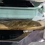 味処 矢野 - まな板のヒラメ。