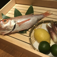 のどぐろ専門 銀座 中俣 - 