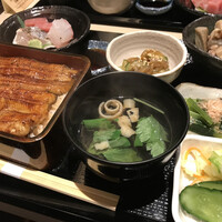 うなぎ 目白ぞろ芽 - 