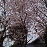 肉料理ふくなが - 