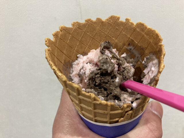 Thirty-One Ice Cream Tokyu Puraza Kamata Ten photo 3