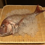 Sushi Ryou - 真鯛