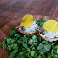 Terroir愛と胃袋 - 