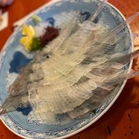 河太郎 中洲本店 - いか活け造り