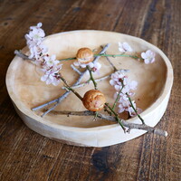 Terroir愛と胃袋 - 