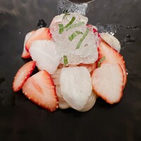 オッジ ダルマット 西麻布店 - 