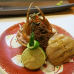 寿司栄 - 香箱蟹　1月5日禁漁日前日から金沢市場の問屋で0℃の仮死状態になっていた香箱蟹