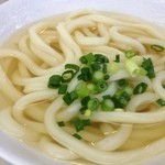 さぬきうどん。たんぽぽ - かけ 200円 アップ