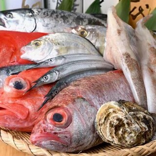 漁港直送の鮮魚