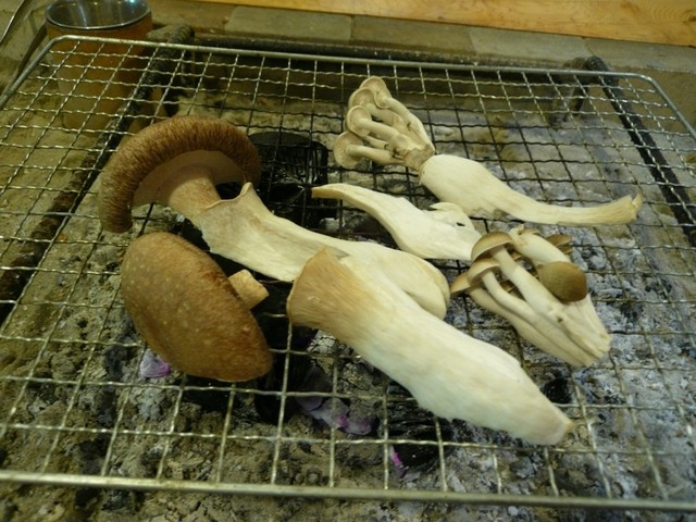 きのこの館>