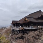 権兵衛 - 清水寺も桜が満開