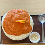 サカノウエカフェ - ブラッドオレンジ　タロッコ　1,600円