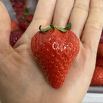 姫路ハートフル観光農園 - 