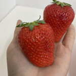 姫路ハートフル観光農園 - 