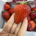 姫路ハートフル観光農園 - 