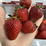 姫路ハートフル観光農園 - 