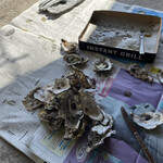 道の駅　伊勢志摩 - 食べた殻