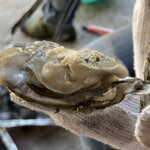 道の駅　伊勢志摩 - 