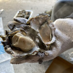 道の駅　伊勢志摩 - 