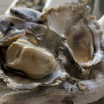 道の駅　伊勢志摩 - 