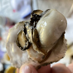 道の駅　伊勢志摩 - 