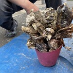 道の駅　伊勢志摩 - これくらいで、限界(^^;;