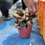 道の駅　伊勢志摩 - 