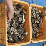 道の駅　伊勢志摩 - さて　始めます♪^o^