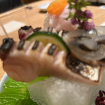 Sushi Tampei - 