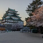 Fujiyama Gogo - 名古屋城　4月の桜