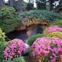 横浜うかい亭 - 