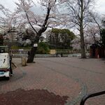 中華ソバ 伊吹 - 