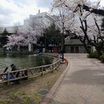 中華ソバ 伊吹 - 