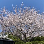 夢泉景別荘 天原 - 