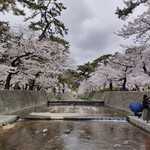 夙川　五感で楽しむイタリアン＆カフェ　トリニティ - 