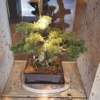 うなぎ藤田 白金台店 - 
