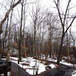 八ヶ岳倶楽部 - 雑木林(1)