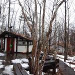 八ヶ岳倶楽部 - 雑木林(2)