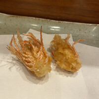 天冨良 よこ田 - 